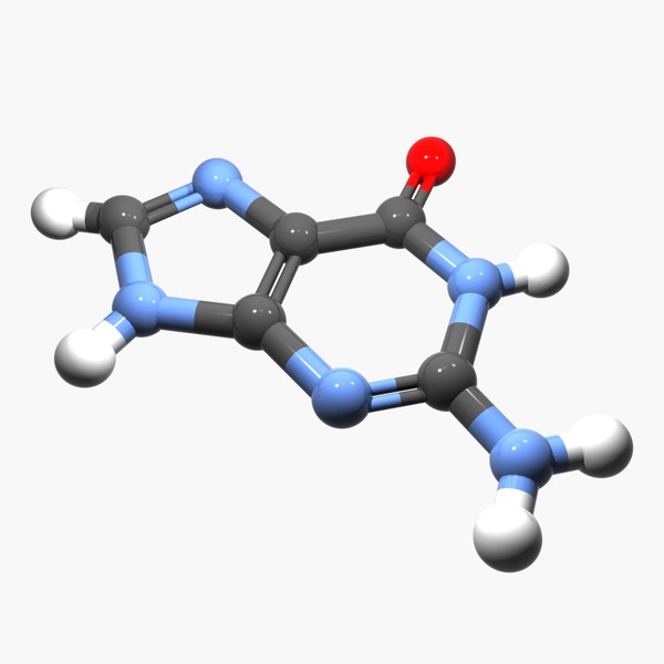 3d model nucleobase guanine dna - DNA - Guanine Nucleobase by DiegoDCvids